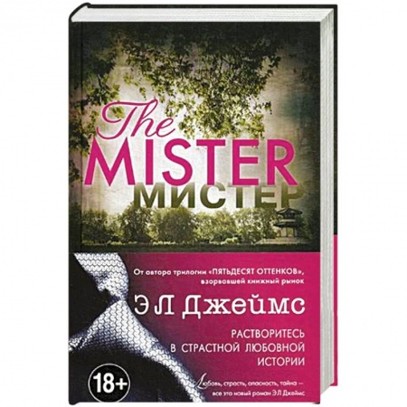 Классика, современная литература, книга Мистер
