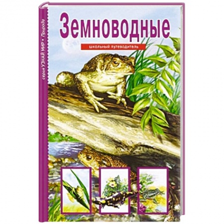 Книги, книга Земноводные. Школьный путеводитель