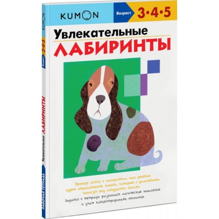 Дошкольникам, книга Увлекательные лабиринты