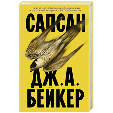 Классика, современная литература, книга Сапсан
