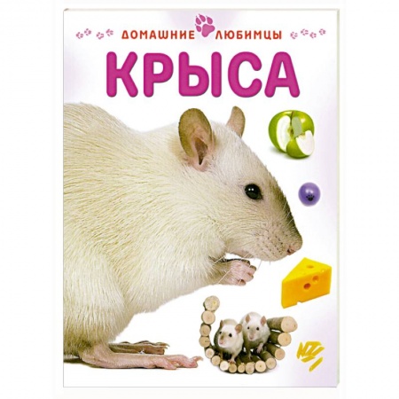 Книги, книга Крыса