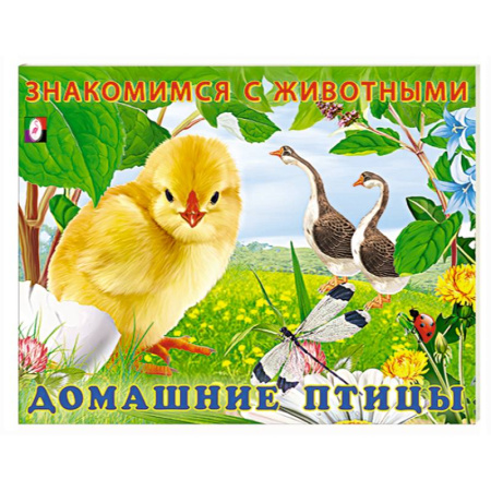 Познавательная литература, книга Домашние птицы