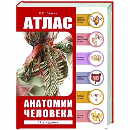 Популярная и нетрадиционная медицина, книга Атлас анатомии человека