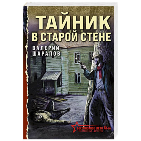 Детективы, триллеры, книга Тайник в старой стене