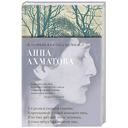 Классика, современная литература, книга В то время я гостила на земле...'