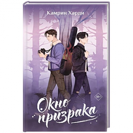 Фантастика, фэнтези, книга Окно призрака