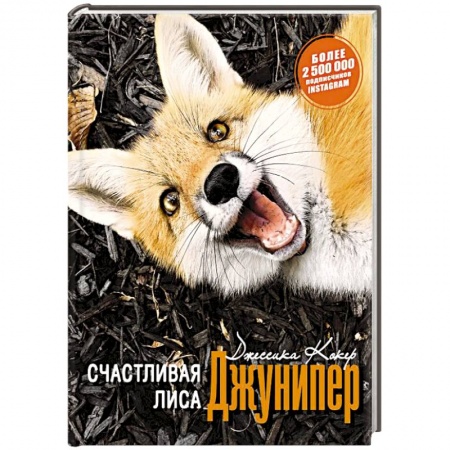 Классика, современная литература, книга Счастливая лиса Джунипер