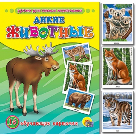 Книги, книга Обучающие карточки. Дикие животные