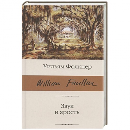 Классика, современная литература, книга Звук и ярость
