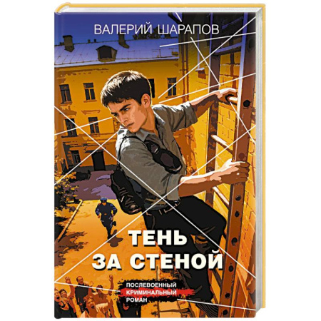 Детективы, триллеры, книга Тень за стеной