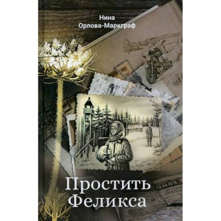 Классика, современная литература, книга Простить Феликса