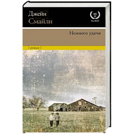 Классика, современная литература, книга Немного удачи