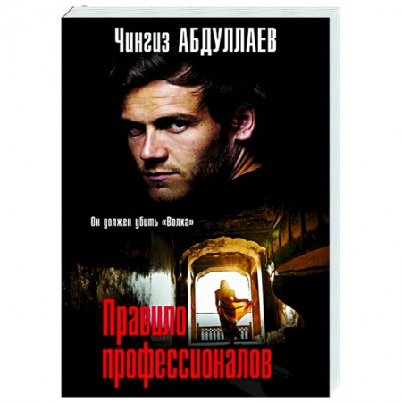 Детективы, триллеры, книга Правило профессионалов