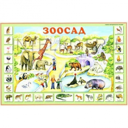 Дошкольникам, книга Зоосад. Плакат для детей (двухсторонний)