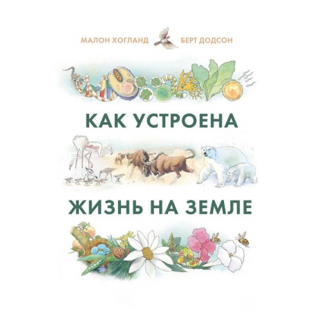 Познавательная литература, книга Как устроена жизнь на Земле