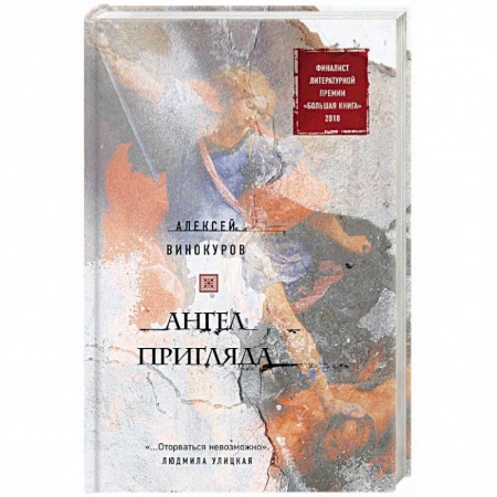 Классика, современная литература, книга Ангел пригляда