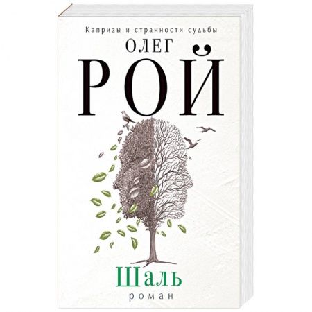 Книги, книга Шаль
