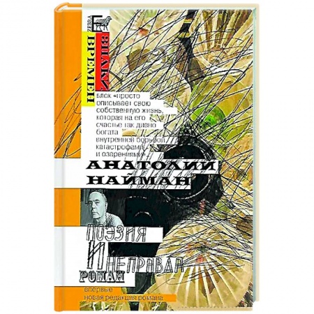 Публицистика, книга Поэзия и неправда