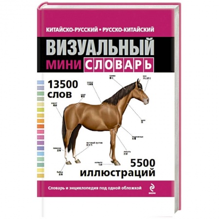 Книги, книга Китайско-русский русско-китайский визуальный мини-словарь