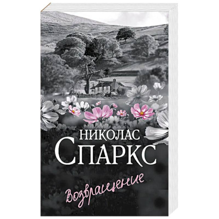 Любовный роман, книга Возвращение