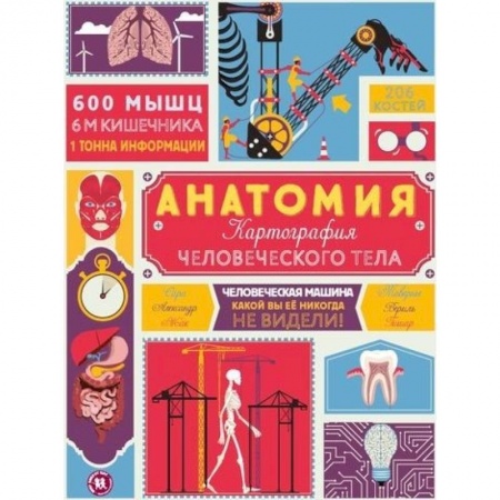 Познавательная литература, книга Анатомия. Картография человеческого тела