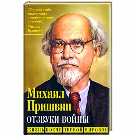 Публицистика, книга Отзвуки войны. Жизнь после Первой мировой