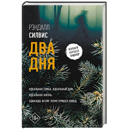Детективы, триллеры, книга Два дня