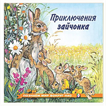 Приключения зайчонка
