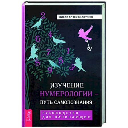 Гадания, толкования снов, книга Изучение нумерологии — путь самопознания. Руководство для начинающих