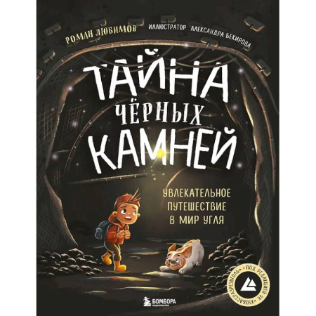 Познавательная литература, книга Тайна чёрных камней. Увлекательное путешествие в мир угля