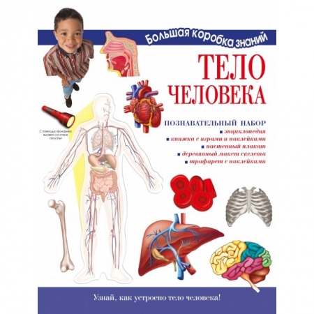 Познавательная литература, книга Тело человека. Познавательный набор