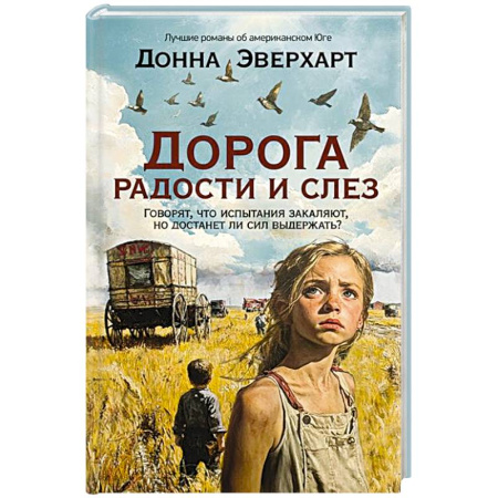 Классика, современная литература, книга Дорога радости и слез