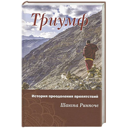 Мемуары, биографии, книга Триумф. История преодоления препятствий