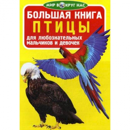 Познавательная литература, книга Большая книга. Птицы. Для любознательных мальчиков и девочек