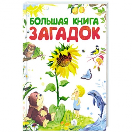 книга Большая книга загадок с доставкой по Франции Книги для самых маленьких (0-3 года), книга Большая книга загадок
