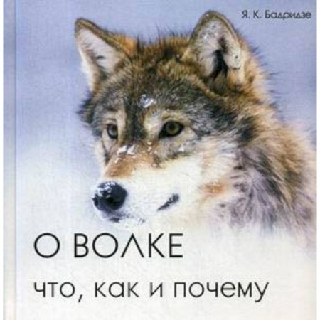 Естественные науки, книга О волке: что, как и почему