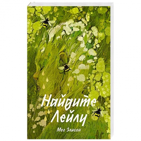 Классика, современная литература, книга Найдите Лейлу
