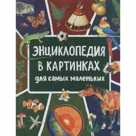 Книги для самых маленьких (0-3 года), книга Энциклопедия в картинках для самых маленьких