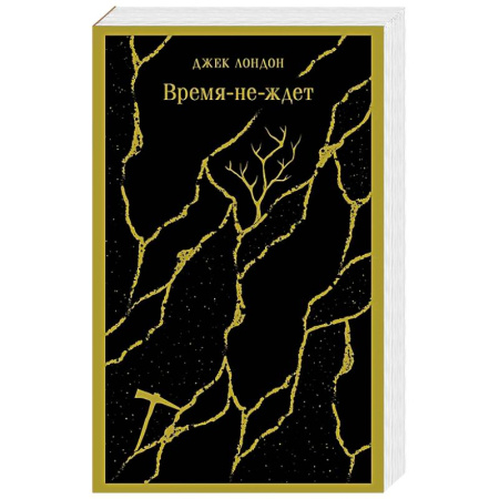 Классика, современная литература, книга Время-не-ждет