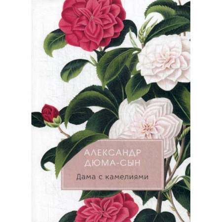 Классика, современная литература, книга Дама с камелиями