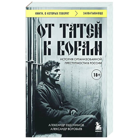 Публицистика, книга От татей к ворам: история организованной преступности в России