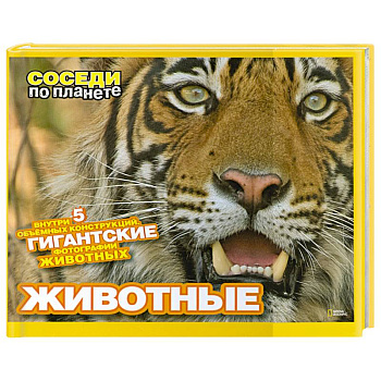 Животные. Внутри 5 объемных конструкций. Гигантские фотографии животных.