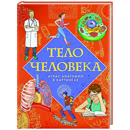 Познавательная литература, книга Тело человека. Атлас анатомии в картинках