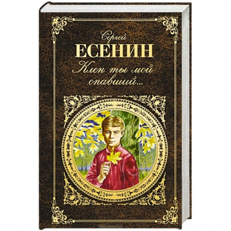 Книги, книга Клен ты мой опавший...