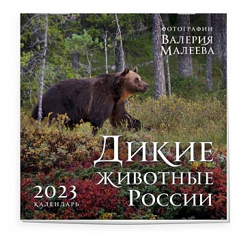 Дикие животные России. Авторские фотографии Валерия Малеева. Календарь настенный на 2023 год
