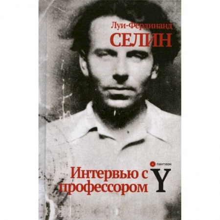 Классика, современная литература, книга Интервью с профессором Y