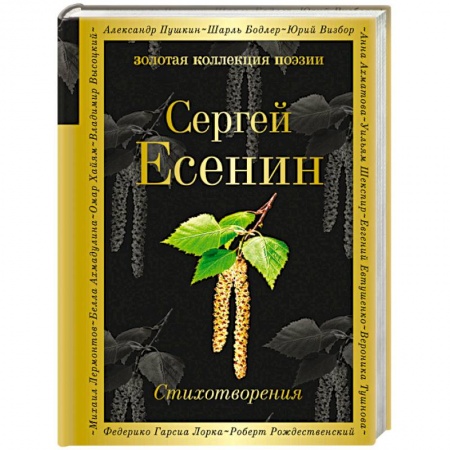 Классика, современная литература, книга Стихотворения