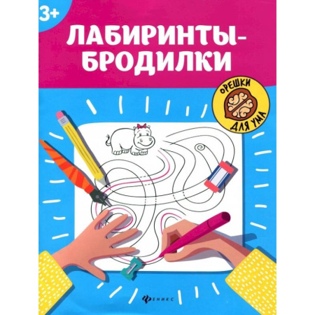 Досуг, творчество и кулинария, книга Лабиринты-бродилки