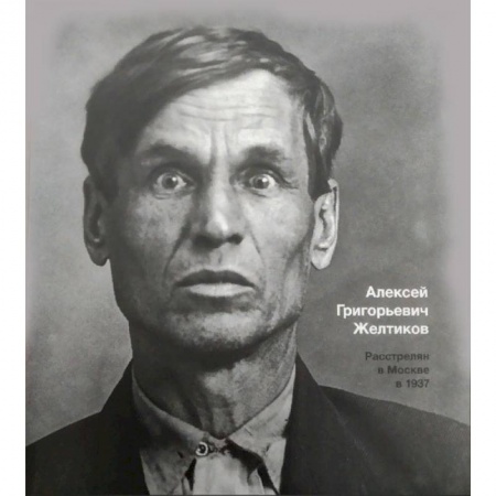 Публицистика, книга Большой террор 1937-1938