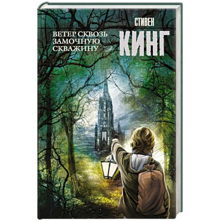 Книги, книга Ветер сквозь замочную скважину